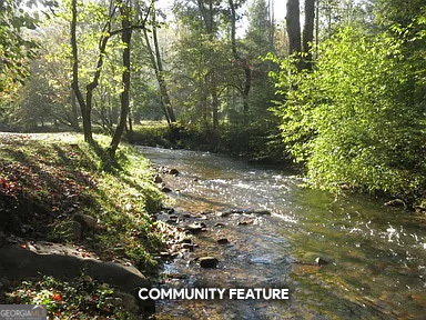 Lot 3 Spring Camp Road Ellijay, GA 30536 - Photo 33 of 43