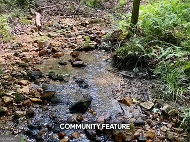 Lot 3 Spring Camp Road Ellijay, GA 30536 - Photo 36 of 43