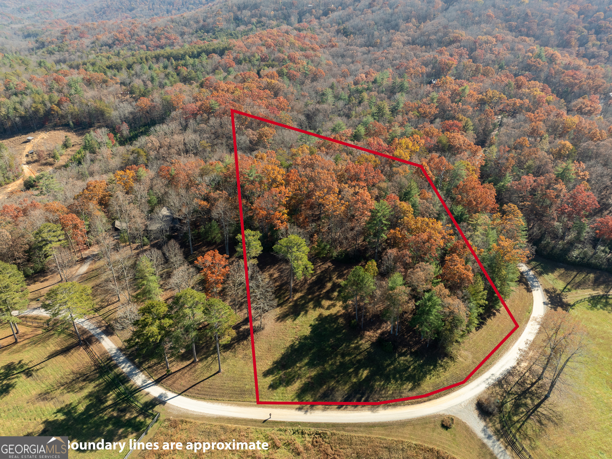Lot 3 Spring Camp Road Ellijay, GA 30536 - Photo 6 of 43