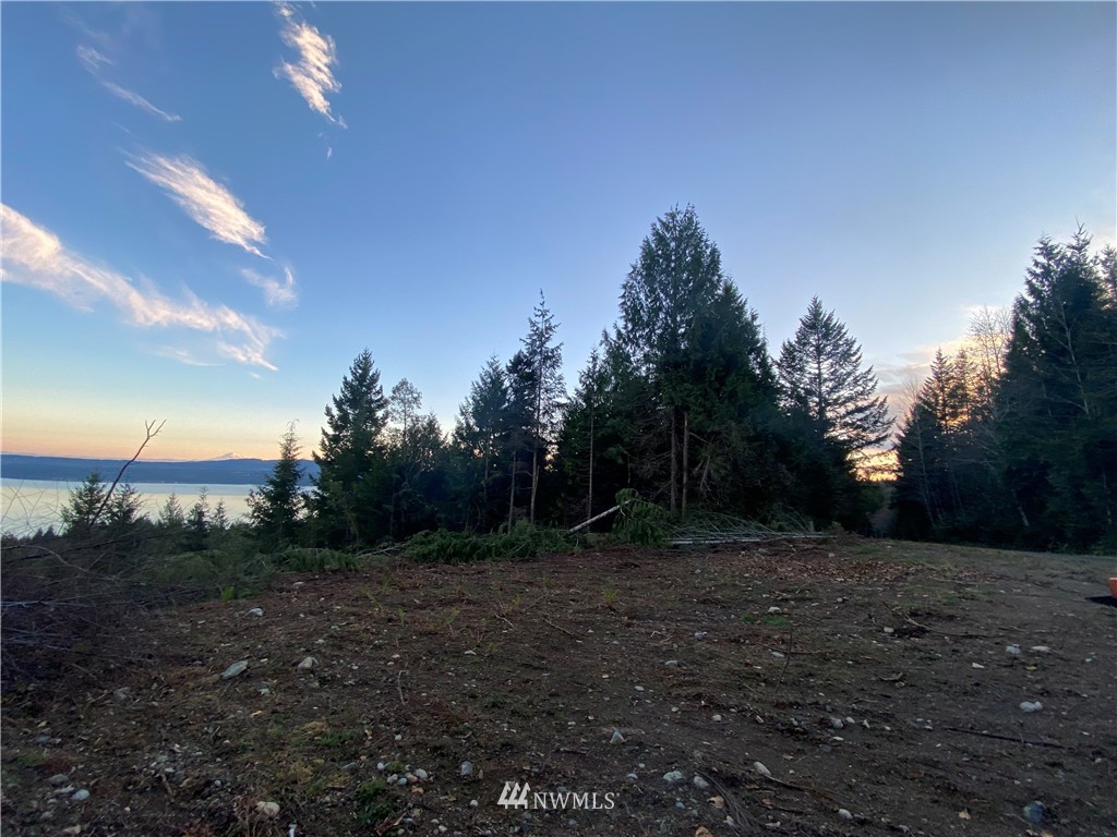 12 Sunrise Road Brinnon, WA 98320 - Photo 4 of 10 Gallery Image 4