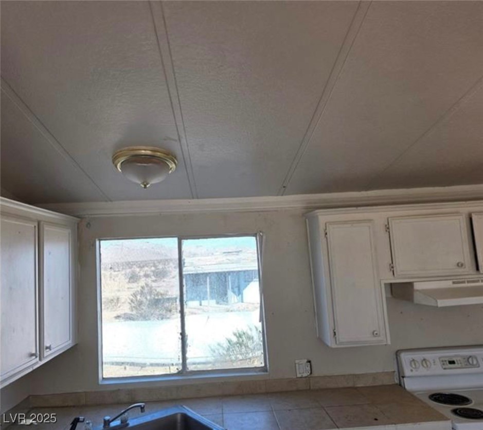 3590 Borax Avenue Sandy Valley, NV 89019 - Photo 4 of 12