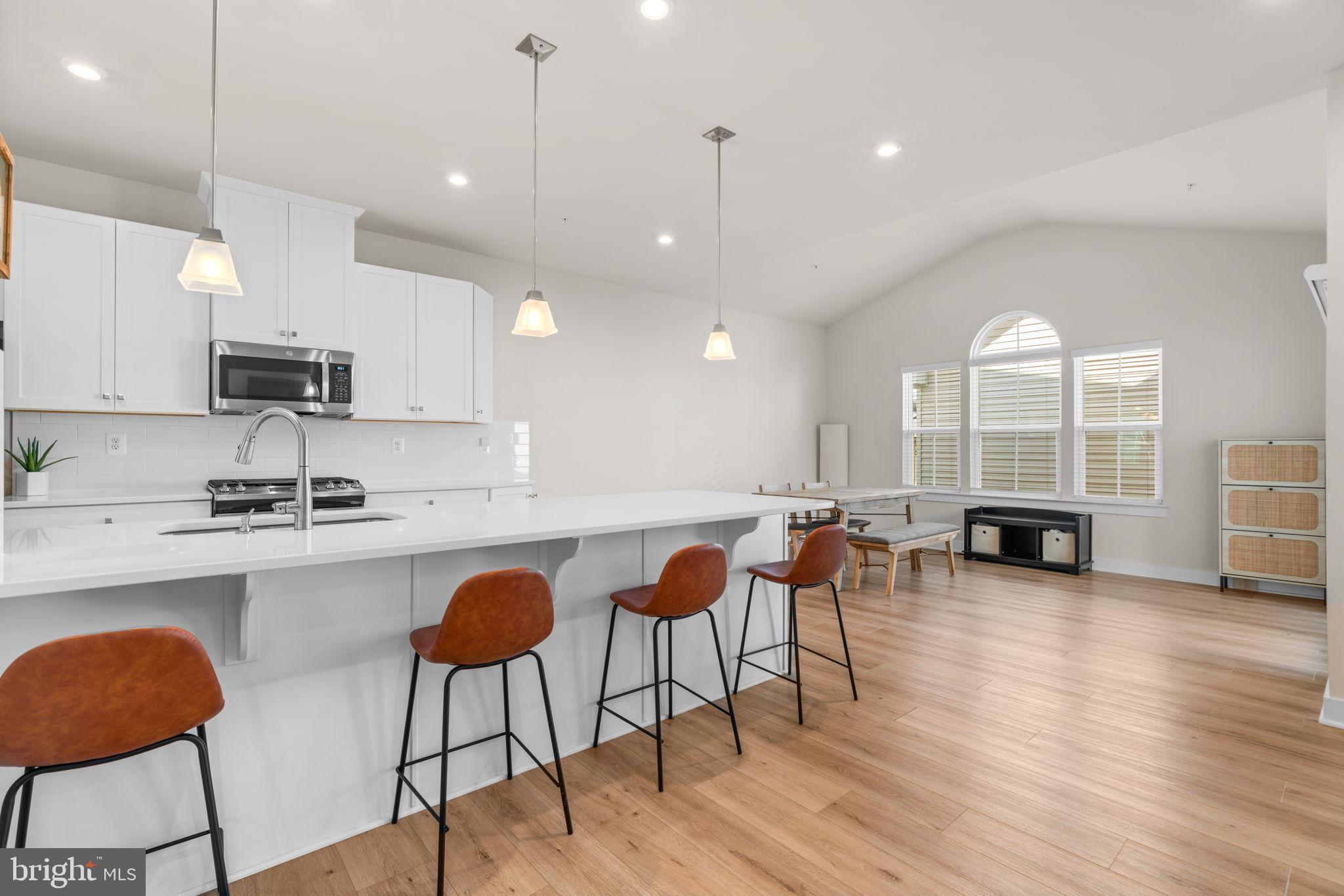 203 Baughmans Lane Frederick, MD 21702 - Photo 16 of 56 Modern kitchen with open layout and natural light.