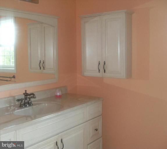 12707 Sillamon Road Goldvein, VA 22720 - Photo 11 of 18 Master Bath