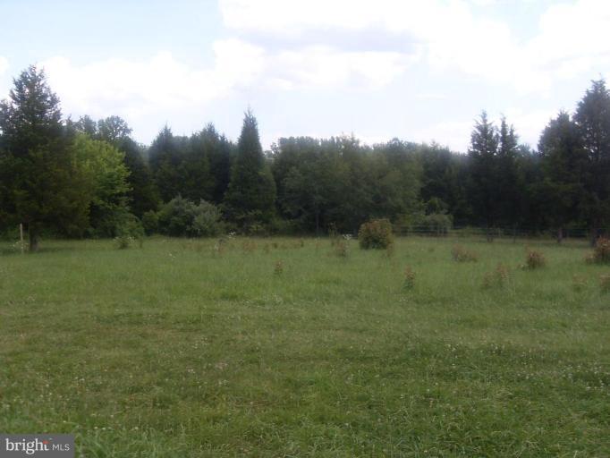 12707 Sillamon Road Goldvein, VA 22720 - Photo 3 of 18 Back yard