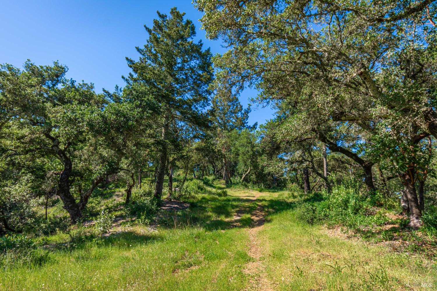 0 Dry Creek Road Napa, CA 94558 - Photo 97 of 98
