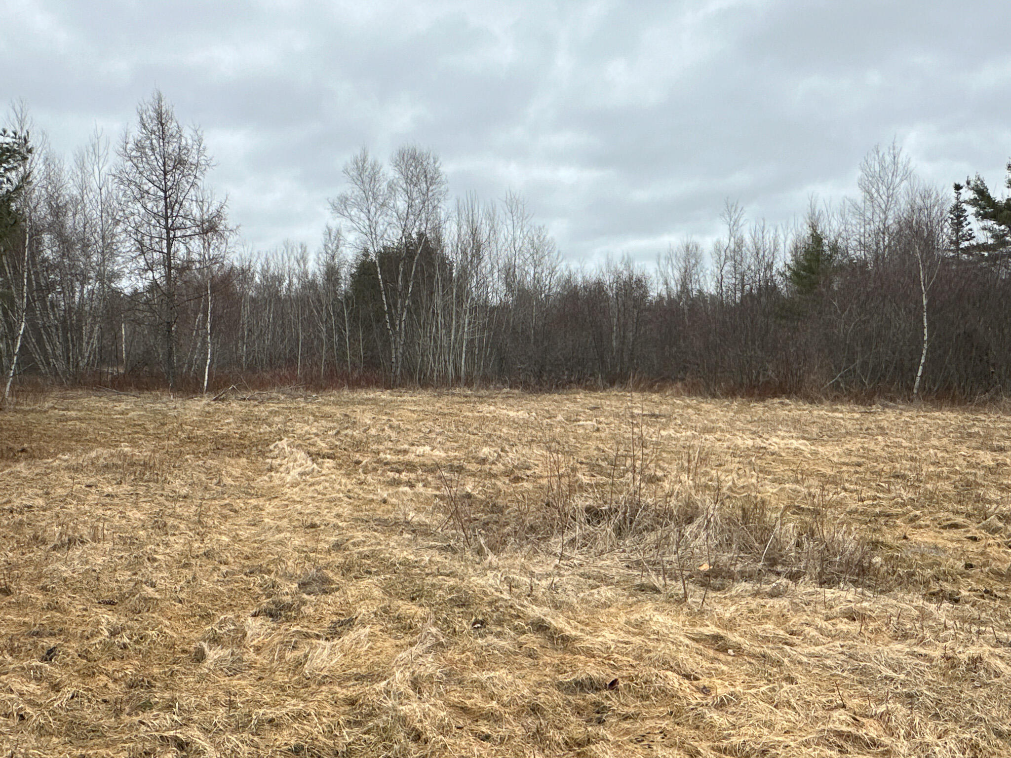M2-l59 Dixmont Road Etna, ME 04434 - Photo 14 of 14 Photo Mar 11 2024, 11 34 26 AM