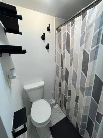 a white toilet sitting next to a shower curtain