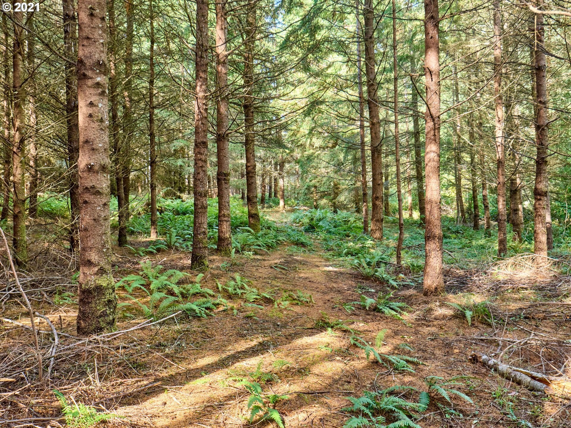 36799 South Hibbard Road Molalla, OR 97038 - Photo 21 of 32 a backyard of a house with lots of green space
