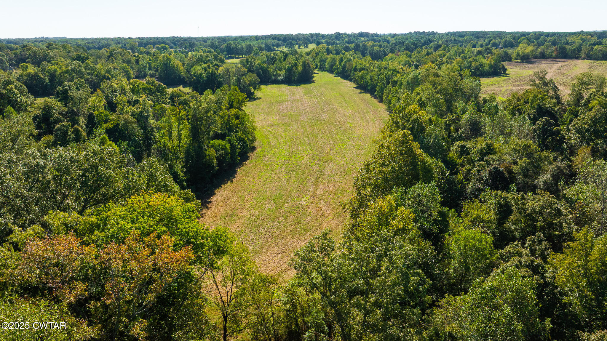 2 Hearn Road Greenfield, TN 38230 - Photo 5 of 13 DJI_20251009103651_0093_D