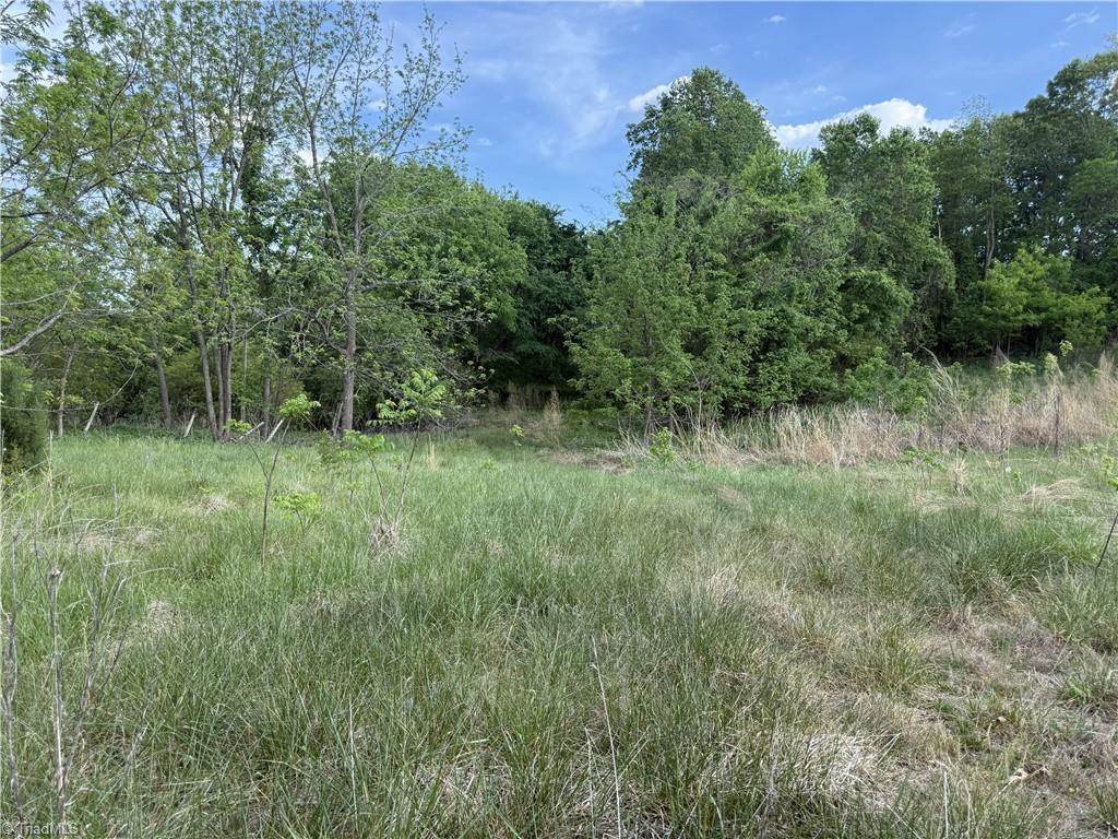 2690 Old Mountain Road Trinity, NC 27370 - Photo 4 of 16
