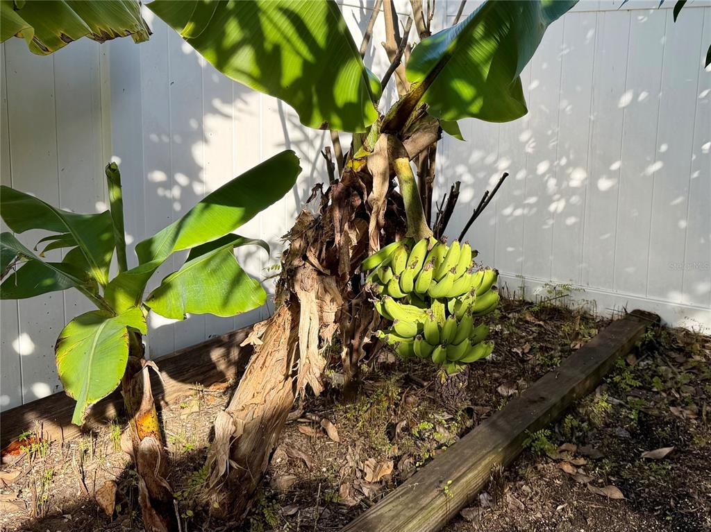 2069 Nerva Road Winter Garden, FL 34787 - Photo 29 of 31