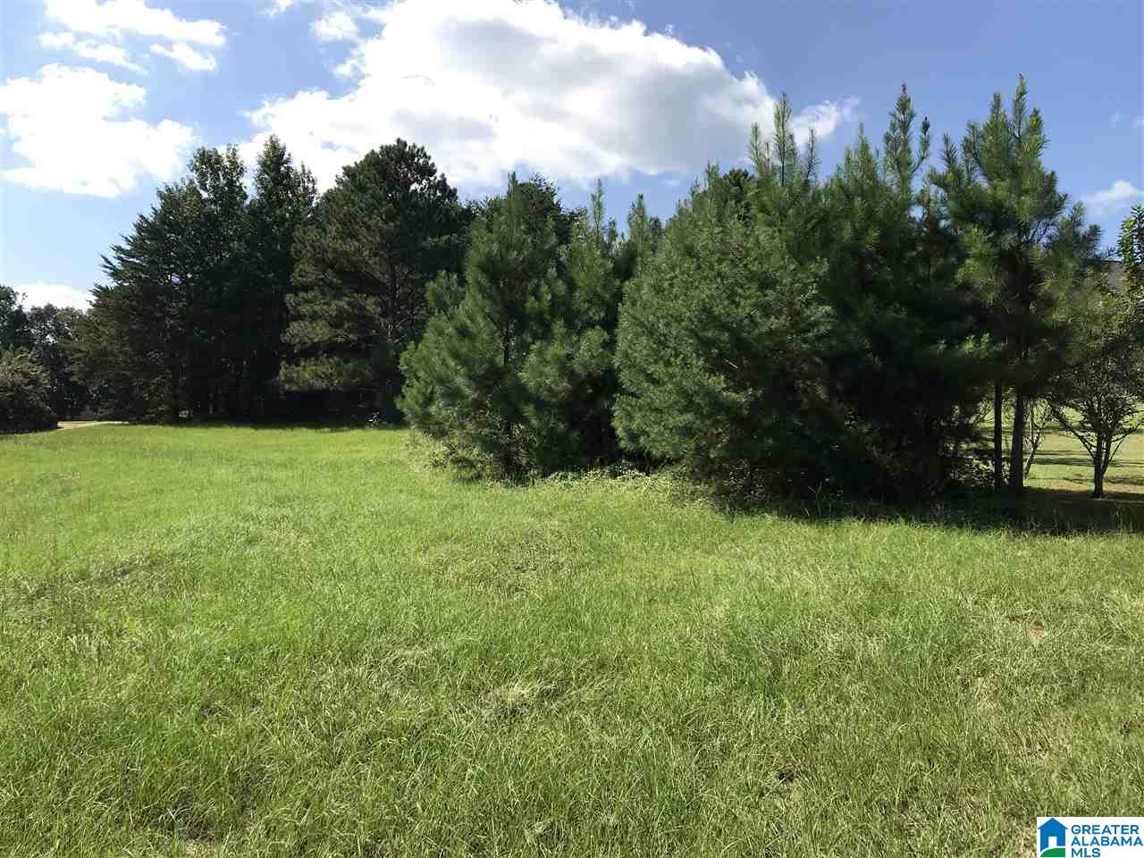 0 High Pointe Drive Warrior, AL 35180 - Photo 10 of 12