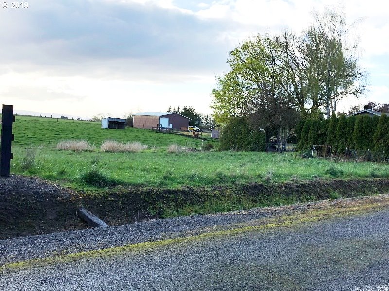 23805 South Rondevic Road Canby, OR 97013 - Photo 10 of 15 a view of a grassy field with trees in the background