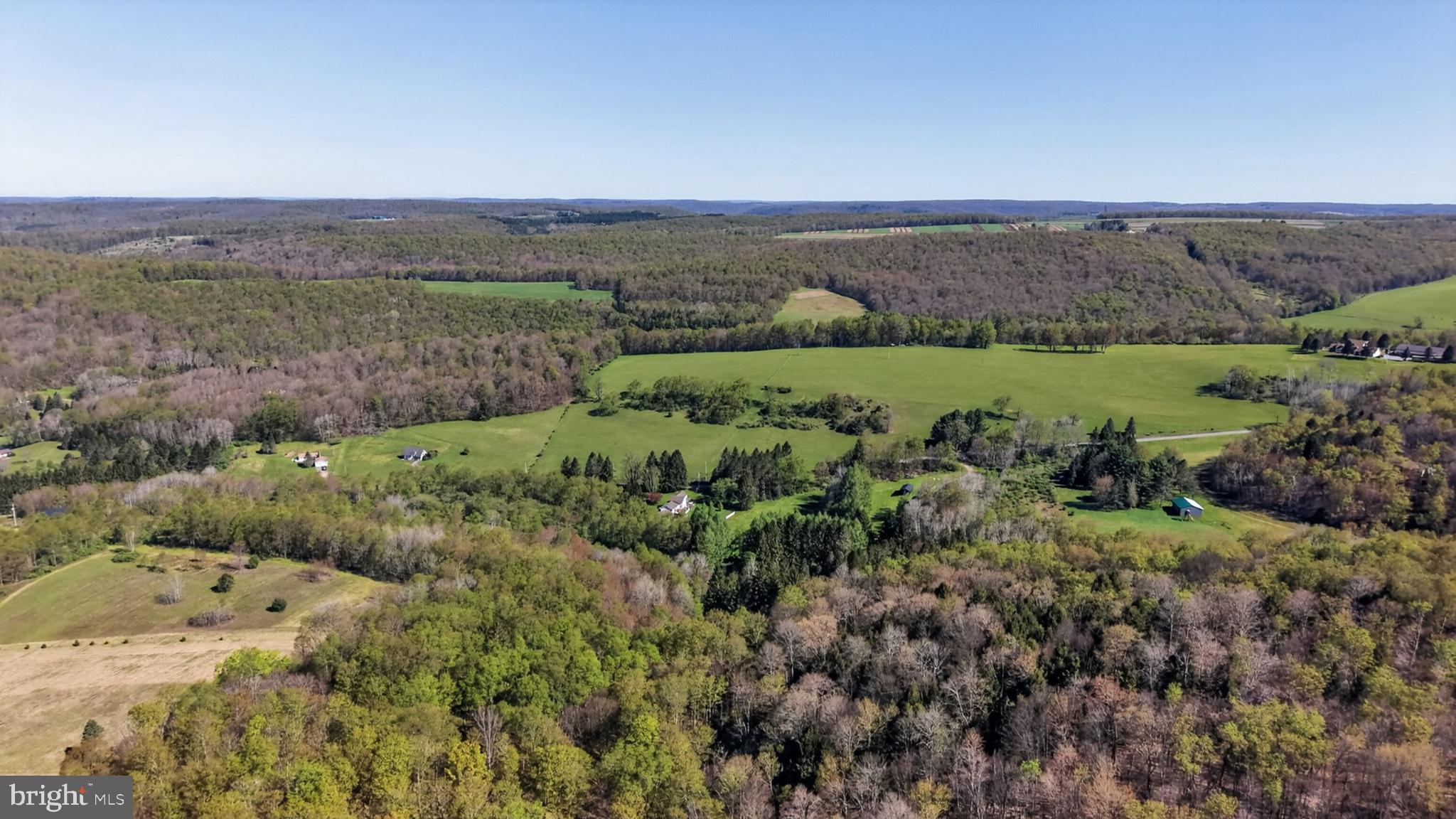 259 A A-Frame Road Coudersport, PA 16915 - Photo 82 of 130 Expansive green landscapes await.