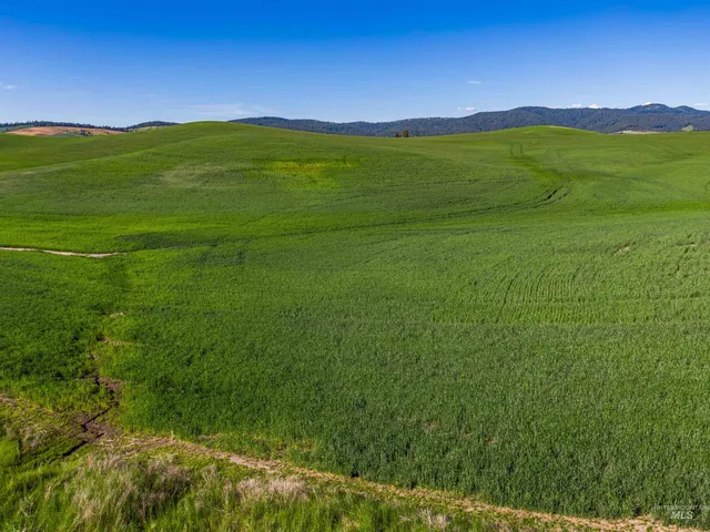 $799,000 | Tbd Mix Road, Moscow, ID 83843