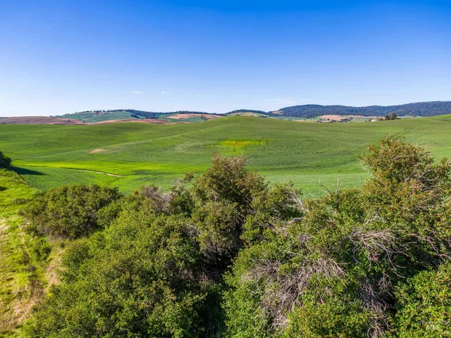 $799,000 | Tbd Mix Road, Moscow, ID 83843