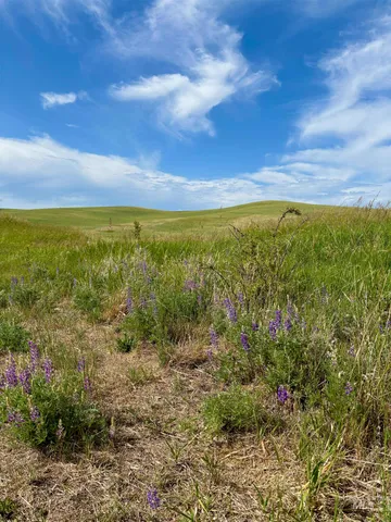 $799,000 | Tbd Mix Road, Moscow, ID 83843