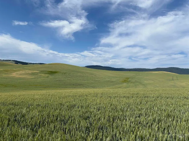 $799,000 | Tbd Mix Road, Moscow, ID 83843