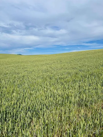 $799,000 | Tbd Mix Road, Moscow, ID 83843