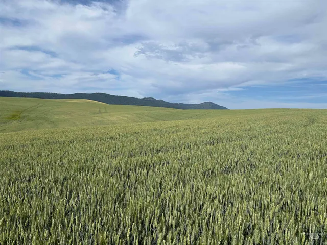 $799,000 | Tbd Mix Road, Moscow, ID 83843