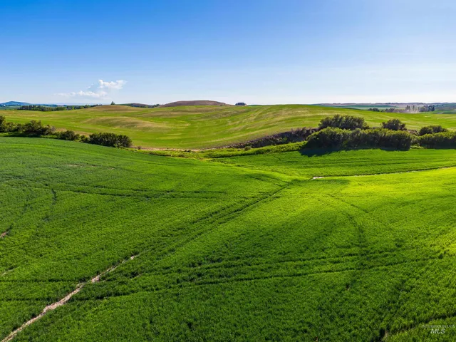 $799,000 | Tbd Mix Road, Moscow, ID 83843