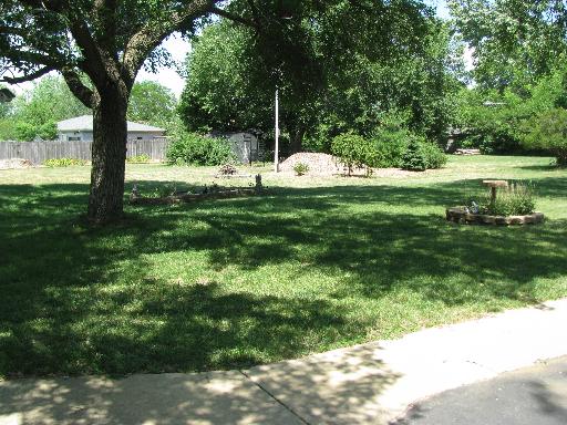 3380 Sadler Road Morris, IL 60450 - Photo 4 of 14 a view of a garden with a tree