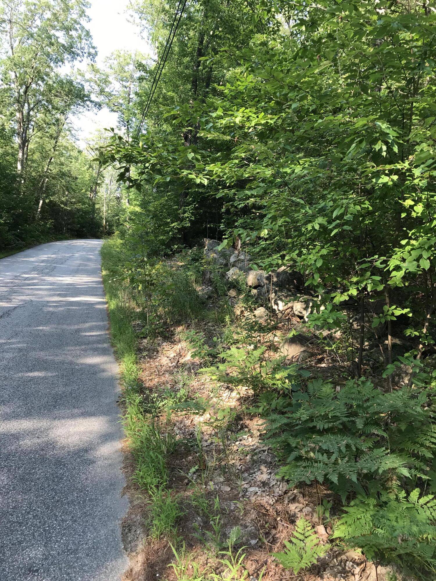 0 Manson Way Limington, ME 04049 - Photo 3 of 4 IMG_2558