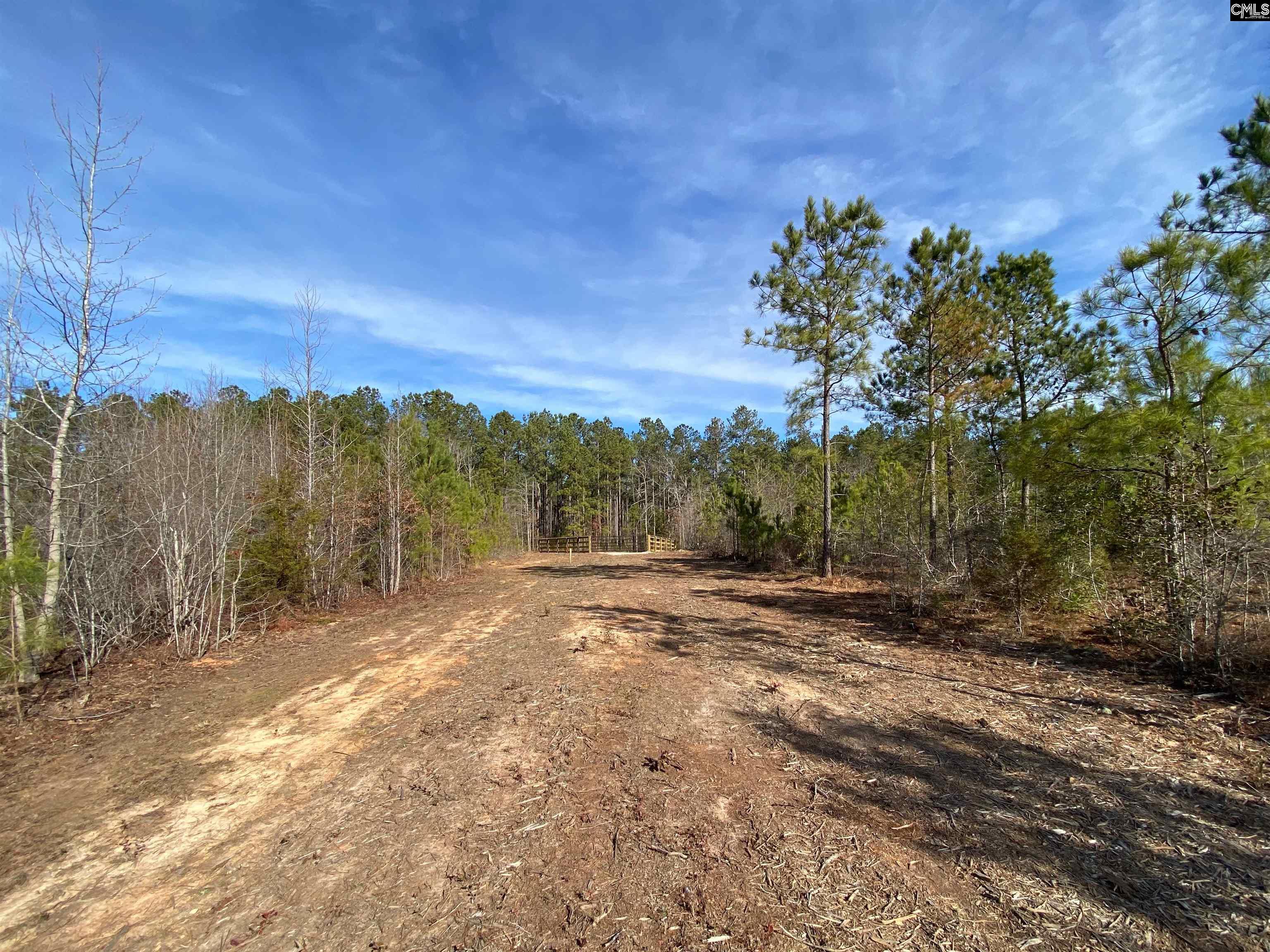900 Pineywood Road Saluda, SC 29138 - Photo 4 of 23