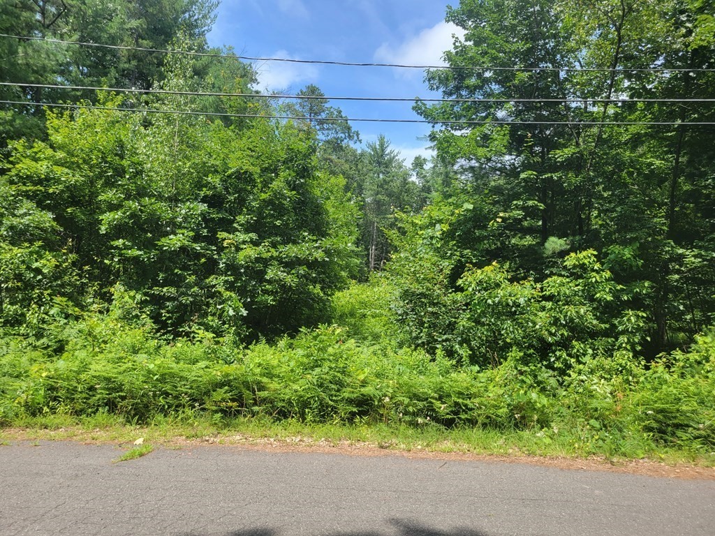 773 Park Hill Road Northampton, MA 01062 - Photo 2 of 19 Gallery Image 2
