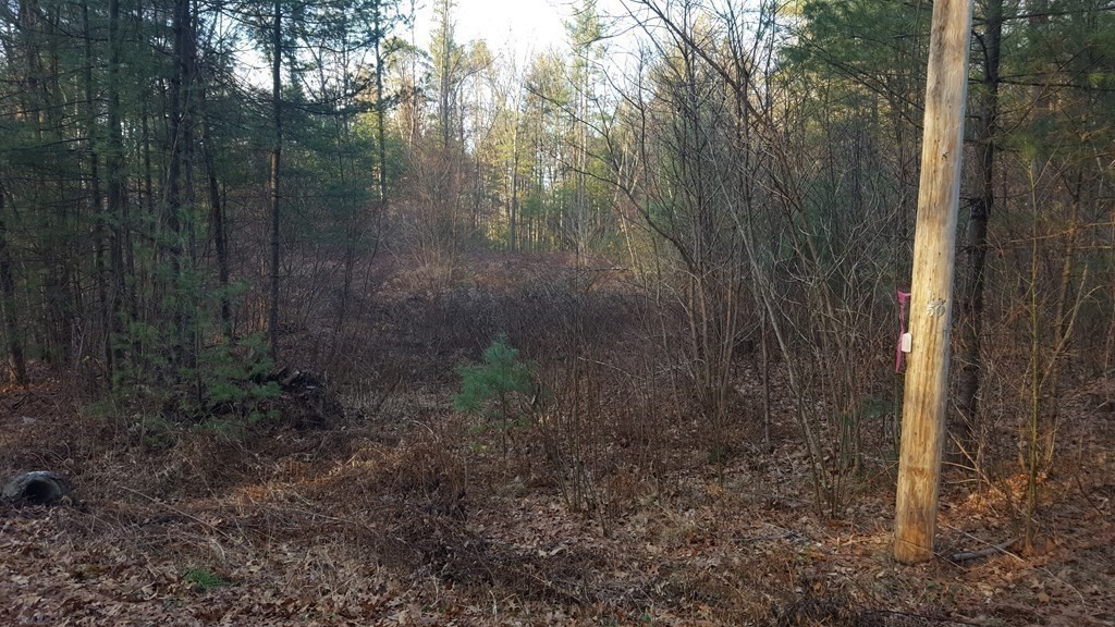 773 Park Hill Road Northampton, MA 01062 - Photo 5 of 19 Gallery Image 5