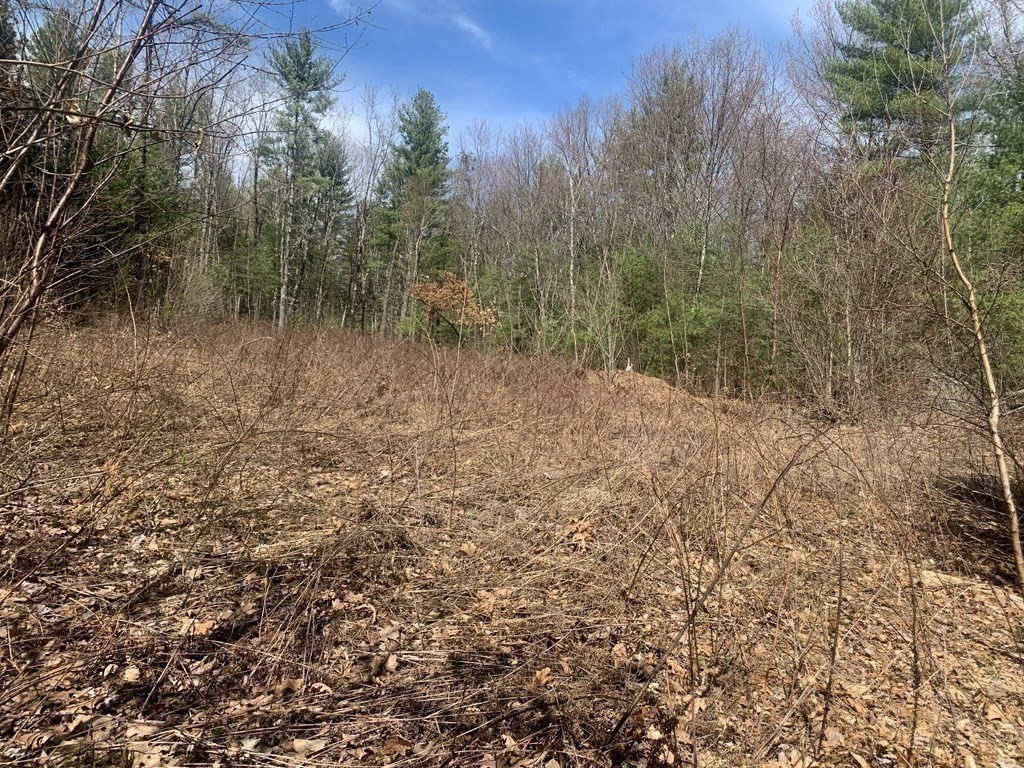 773 Park Hill Road Northampton, MA 01062 - Photo 6 of 19 Gallery Image 6