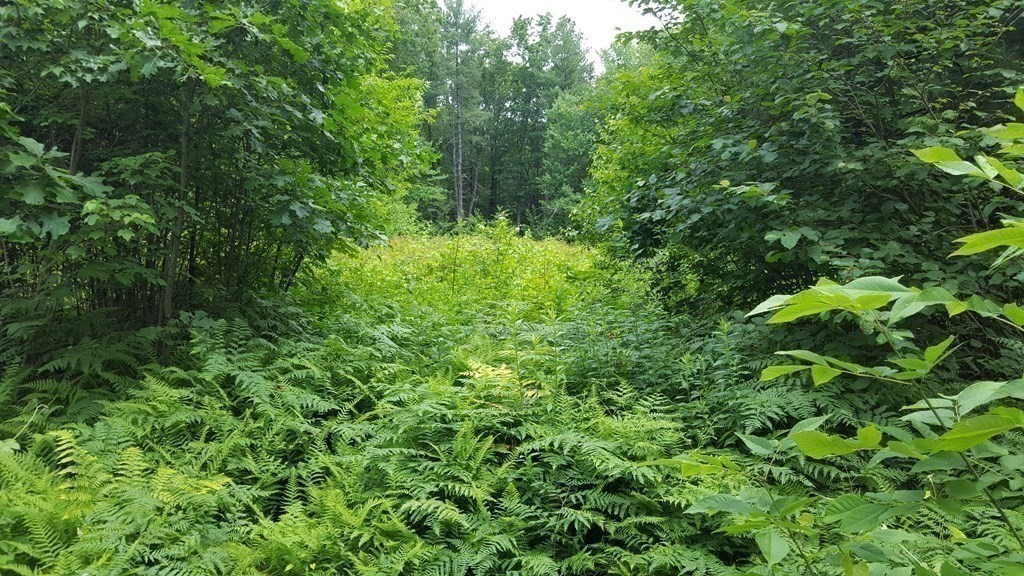 773 Park Hill Road Northampton, MA 01062 - Photo 7 of 19 Gallery Image 7