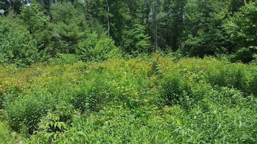 773 Park Hill Road Northampton, MA 01062 - Photo 8 of 19 Gallery Image 8