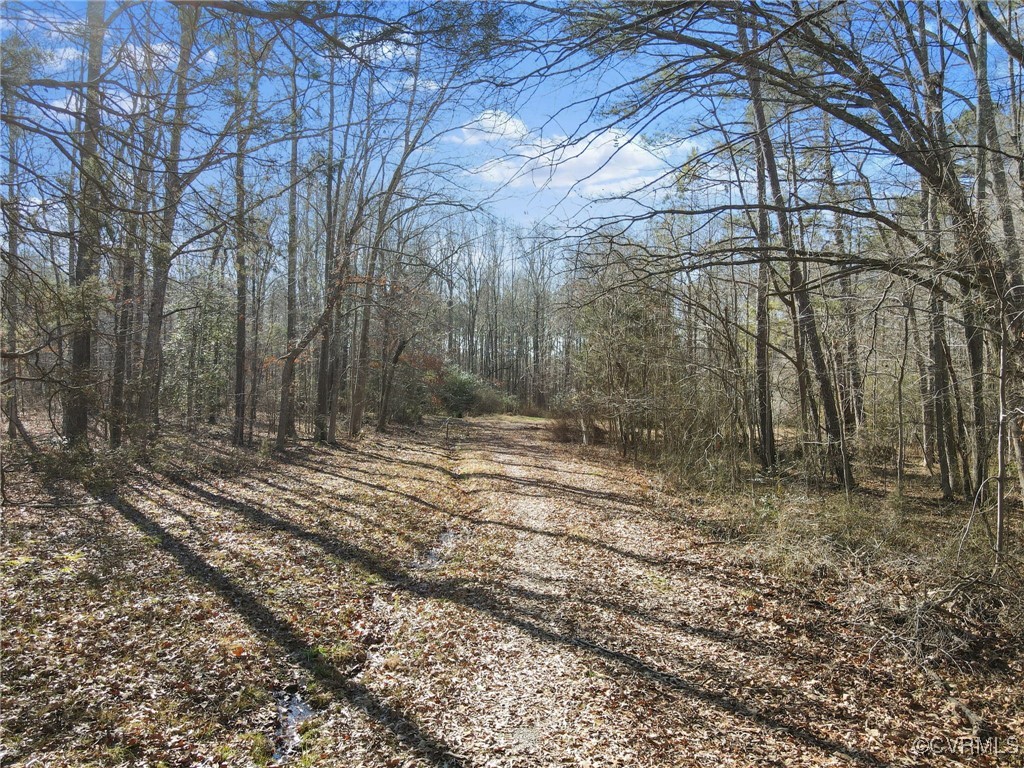 10700 Beaver Bridge Road Chesterfield, VA 23838 - Photo 2 of 9