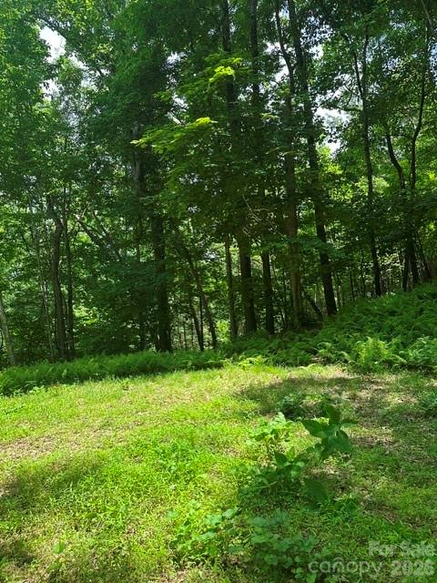 Tbd Mountain Home Road, Unit 2 Banner Elk, NC 28604 - Photo 7 of 10 Gallery Image 7