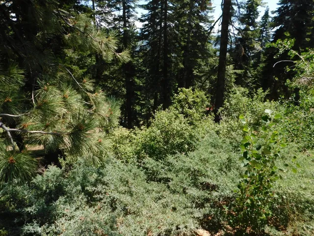 $35,000 | 1752 Skyline Drive, Unit 240, Arnold, CA 95223