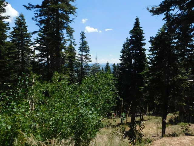 $35,000 | 1752 Skyline Drive, Unit 240, Arnold, CA 95223