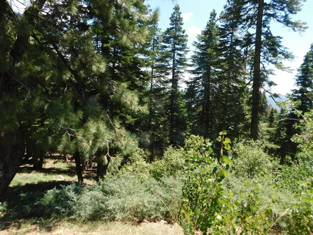 $35,000 | 1752 Skyline Drive, Unit 240, Arnold, CA 95223