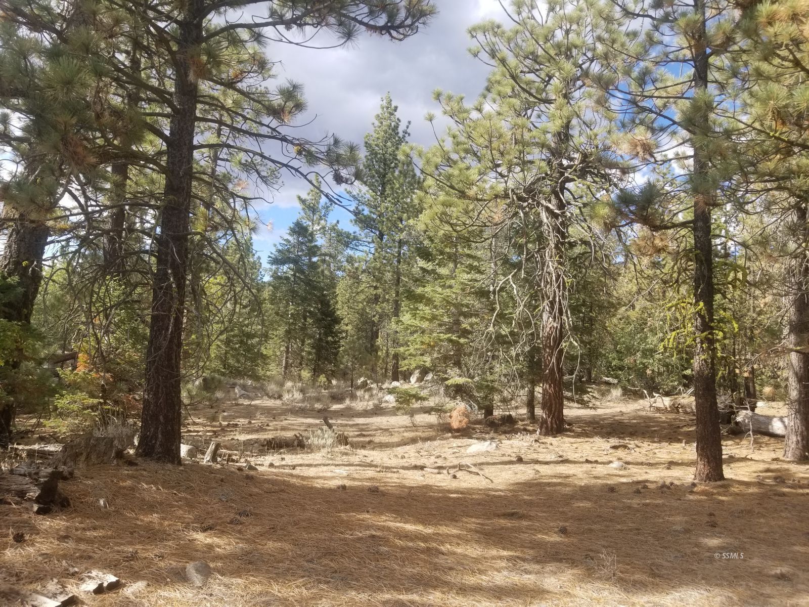 Piute Pines Caliente, CA 93518 - Photo 1 of 26