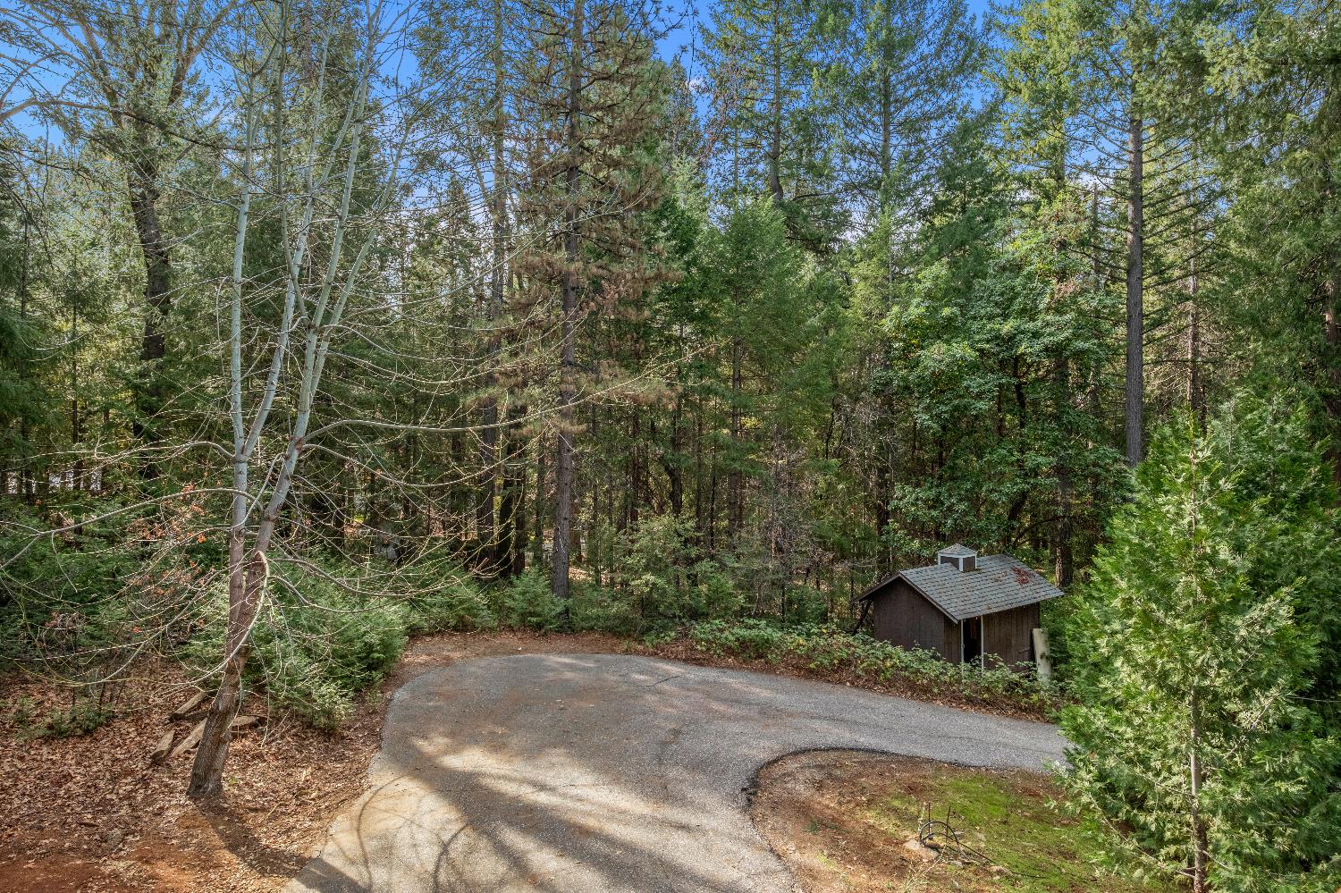 14525 Oak Ridge Road Nevada City, CA 95959 - Photo 38 of 54