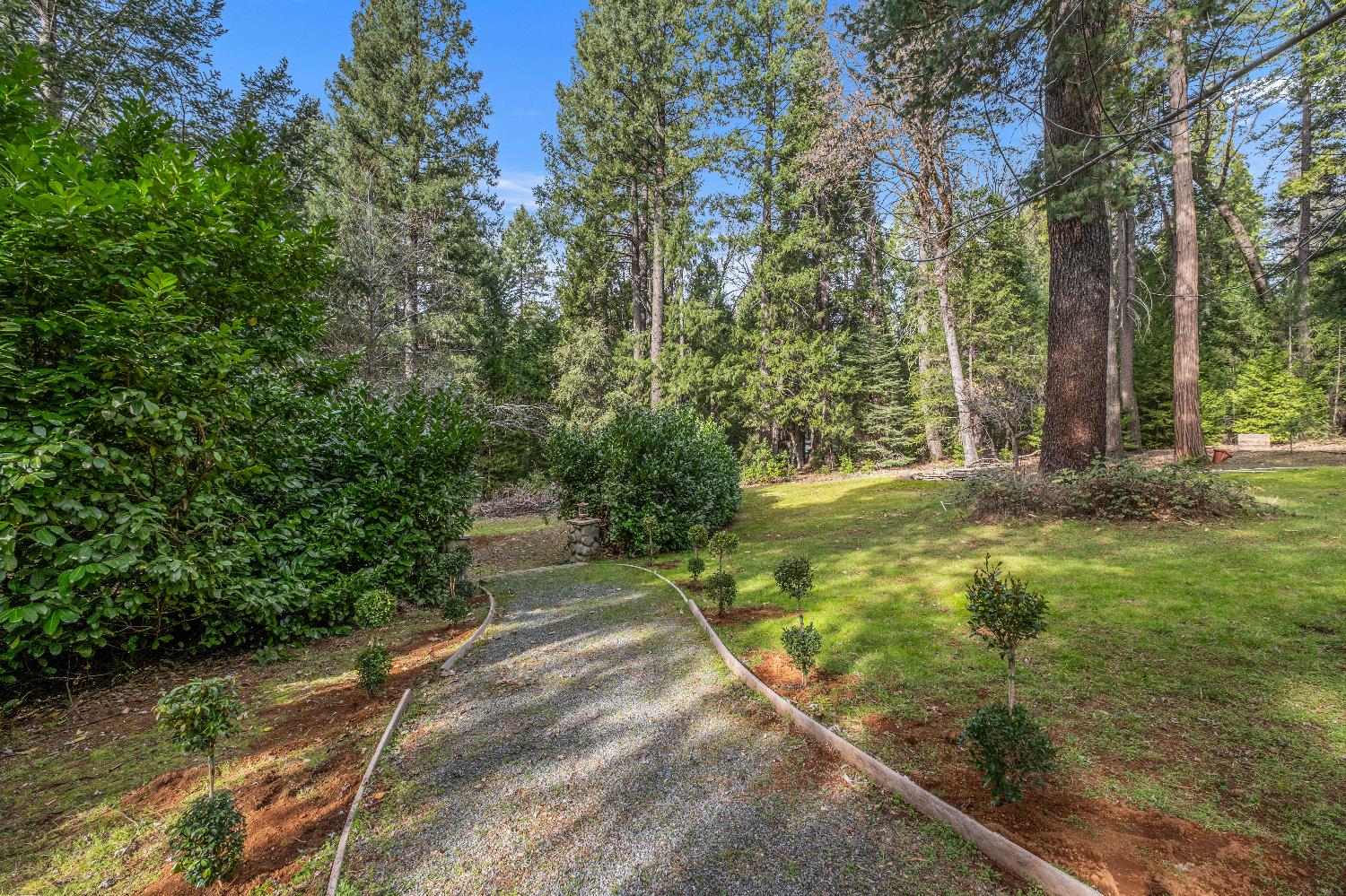 14525 Oak Ridge Road Nevada City, CA 95959 - Photo 48 of 54