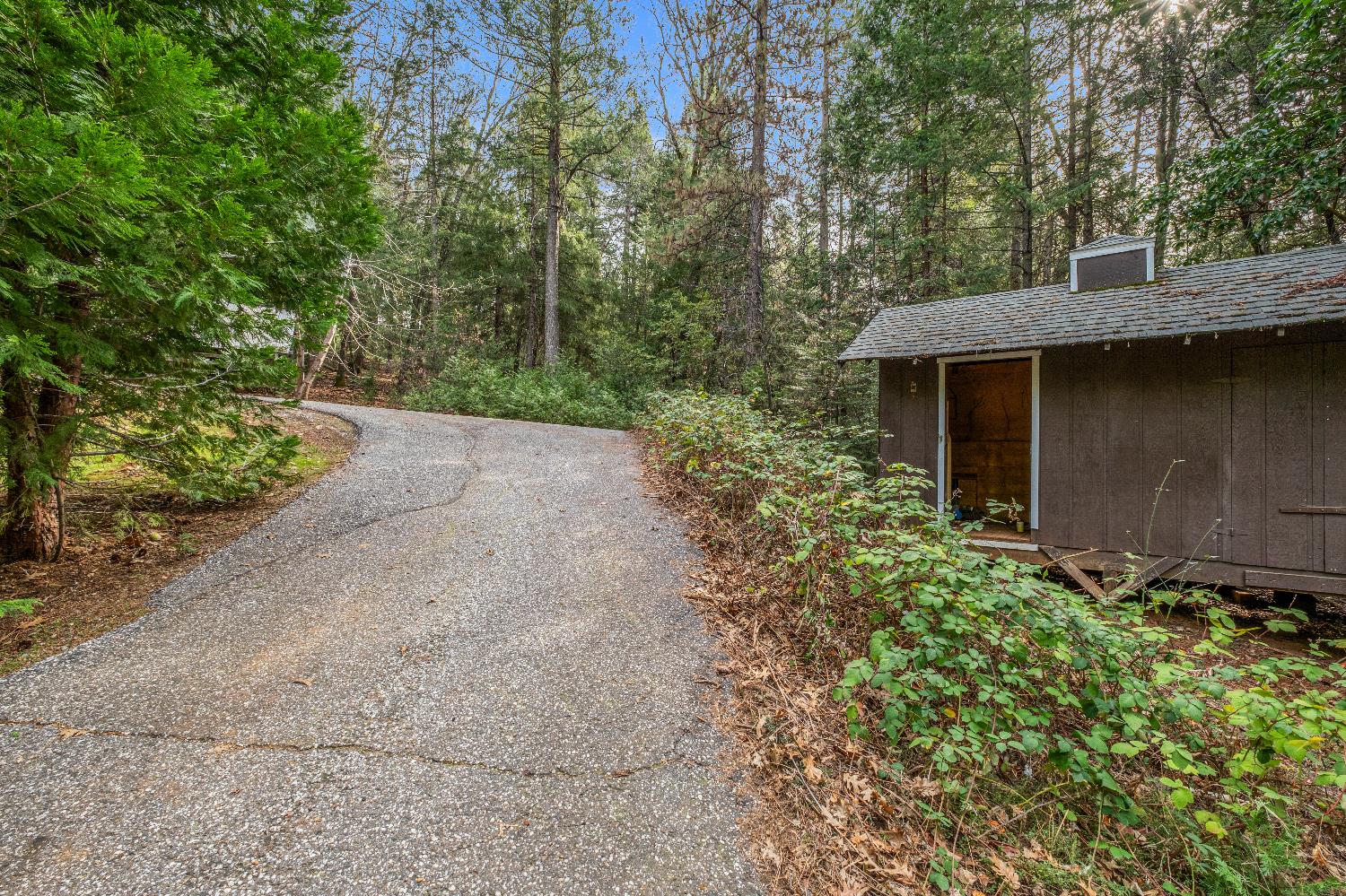 14525 Oak Ridge Road Nevada City, CA 95959 - Photo 52 of 54