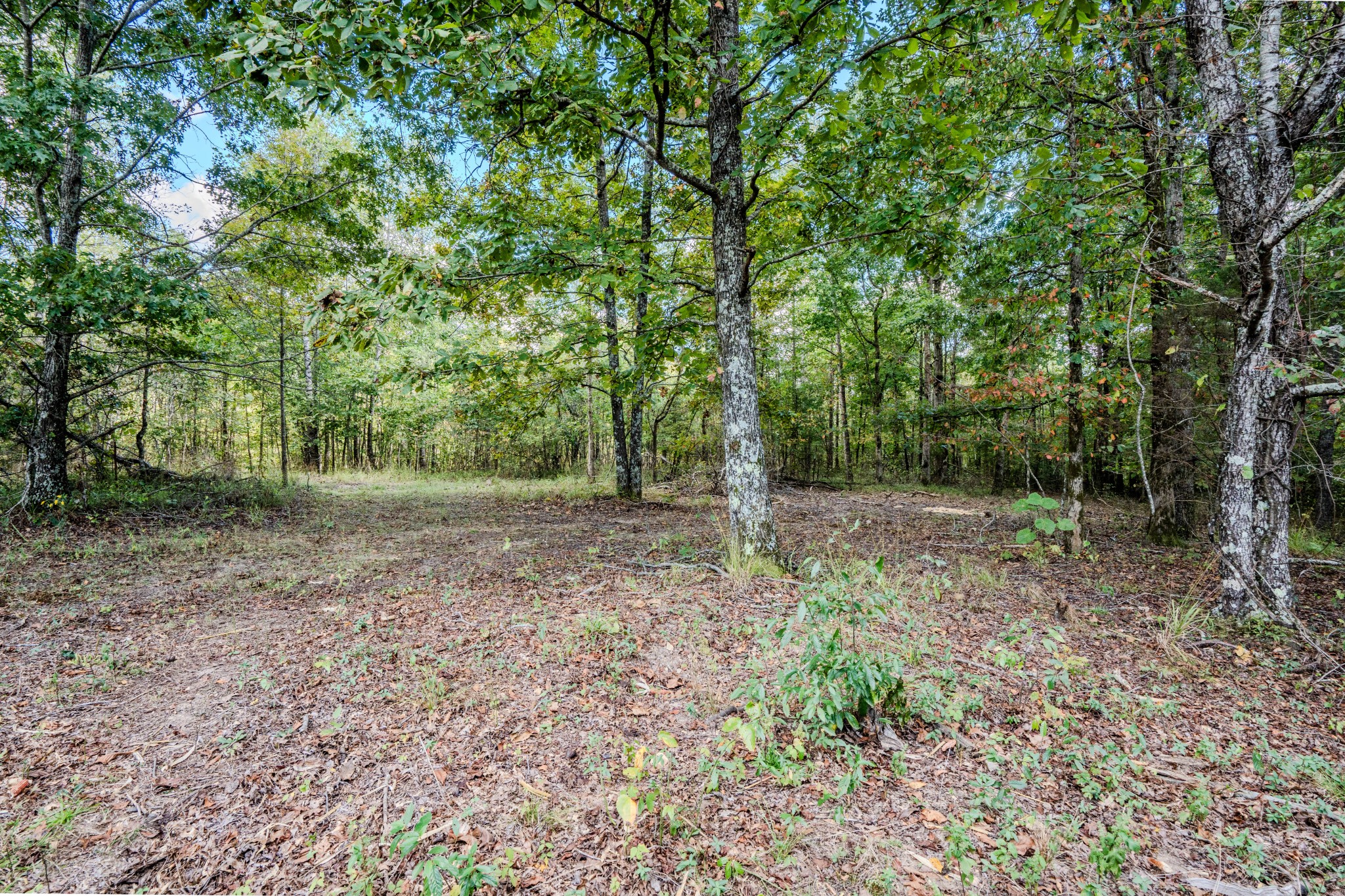 0 South Randall Road Westpoint, TN 38486 - Photo 53 of 79
