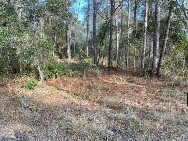$12,000 | 417 Incline Road, Satsuma, FL 32189