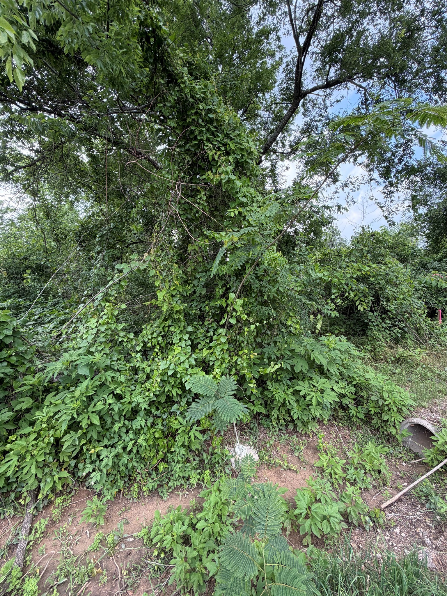 Tbd Tbd I Avenue Conroe, TX 77301 - Photo 2 of 9