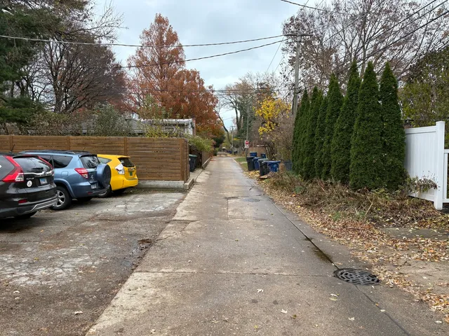 a street view with large trees