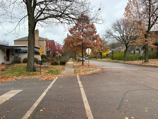 a view of a park with large trees