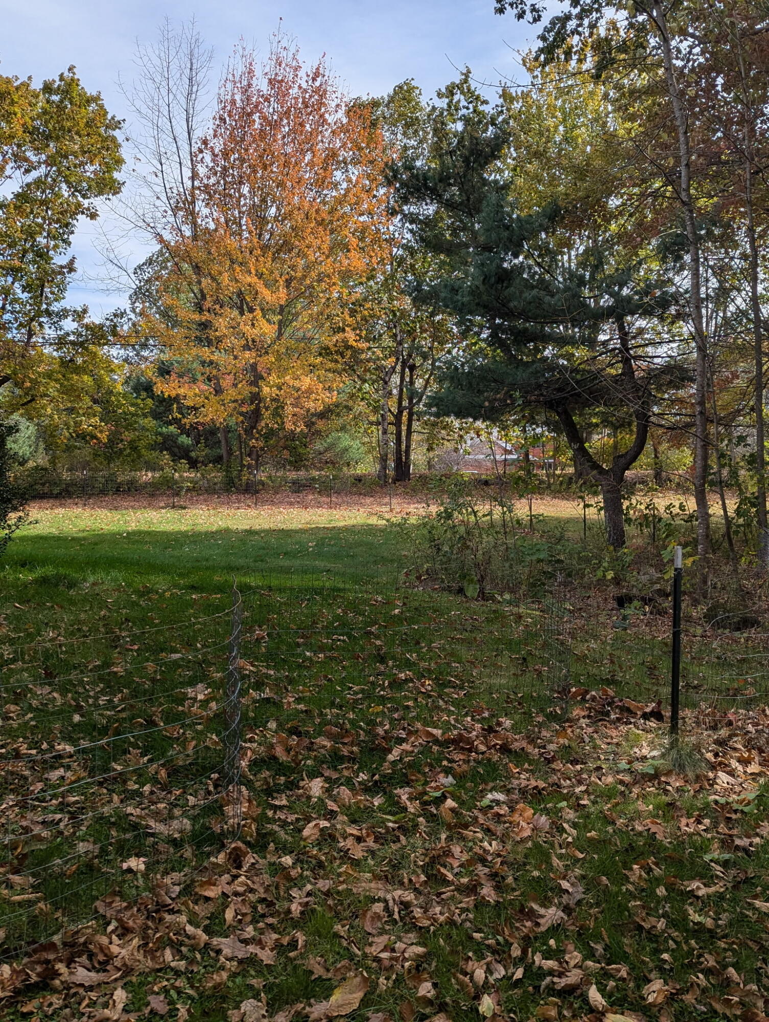 197 Ferry Road Lewiston, ME 04240 - Photo 58 of 69 9169067591216471987