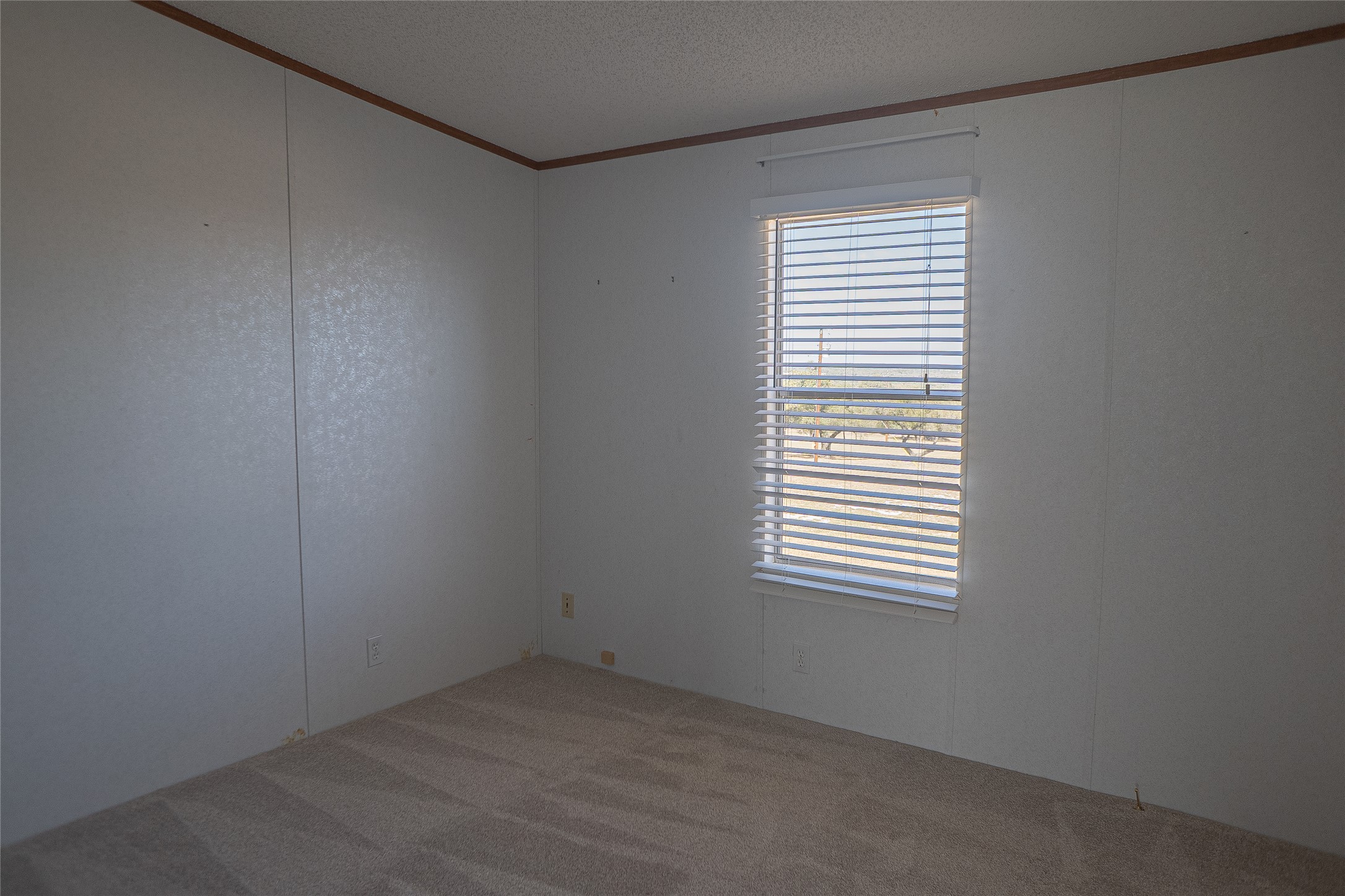 1149 Hart Lane Dripping Springs, TX 78620 - Photo 16 of 17 an empty room with a window