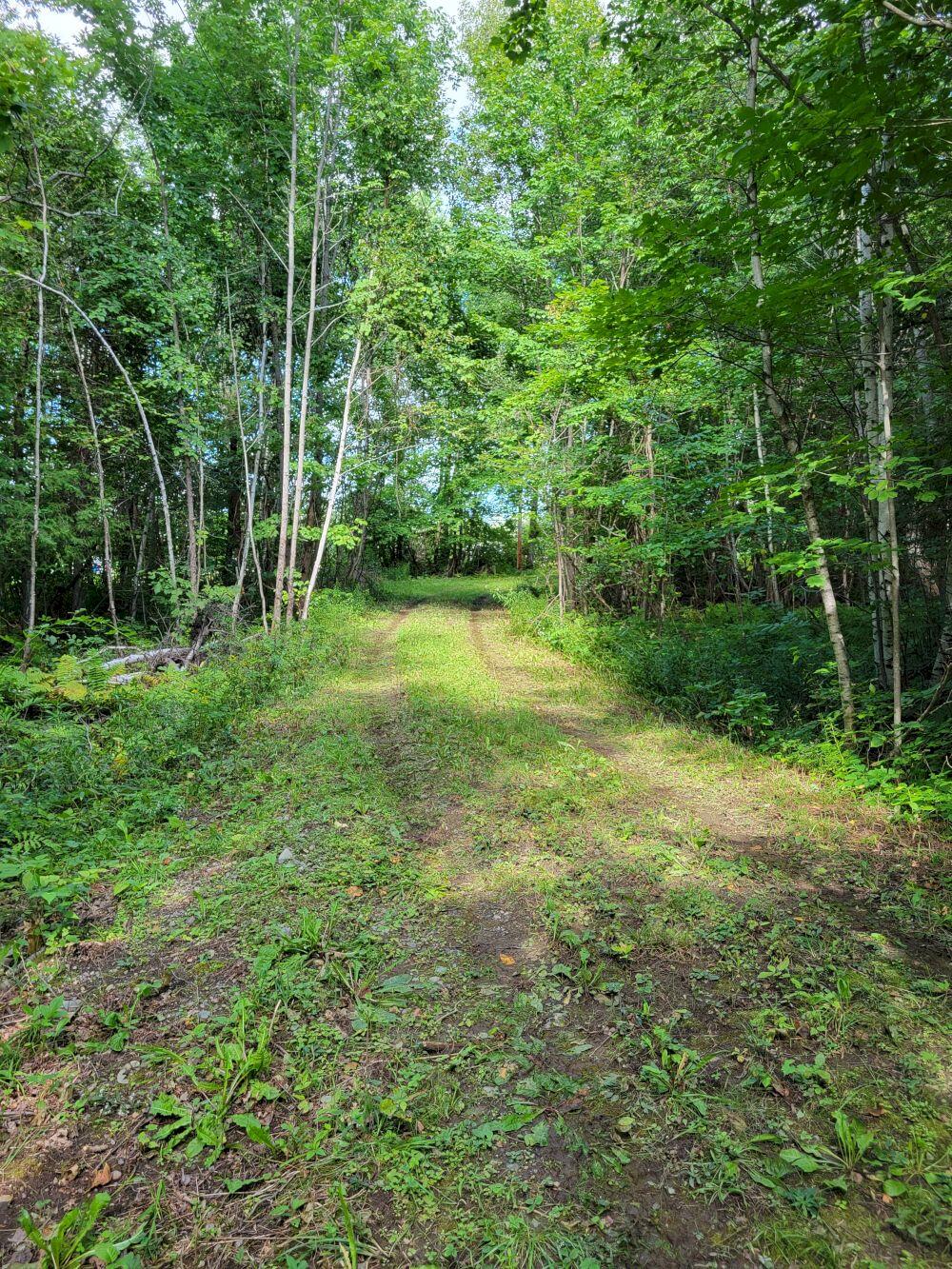 828 East Ridge Road Cornville, ME 04976 - Photo 51 of 56 20210906_143124